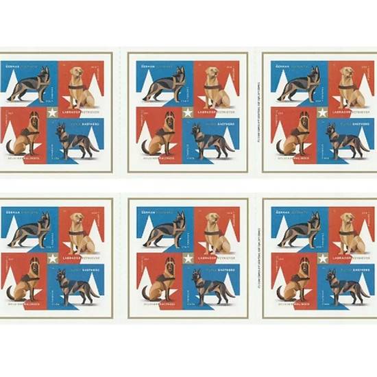 Forever Stamps 2019 Labrador Retriever-Honor & Service, First-Class Postage