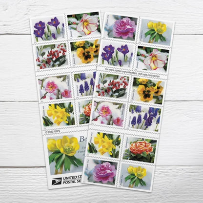 Forever Stamps 2022 Snowy Beauty-Winter Nature Collection, First-Class Postage
