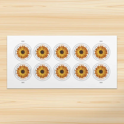Global Forever Stamps 2022 African Daisy-International Rate