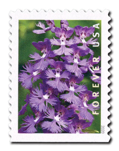Forever Stamps 2020 Wild Orchids-Nature Series, First-Class Postage
