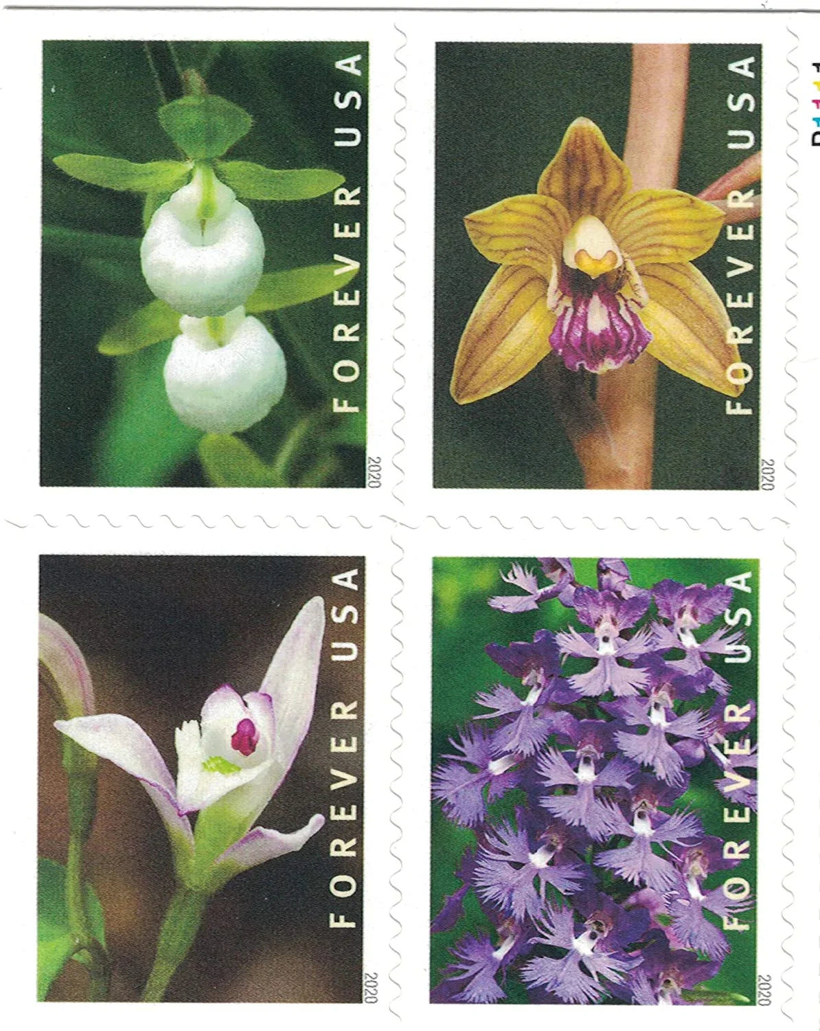 Forever Stamps 2020 Wild Orchids-Nature Series, First-Class Postage