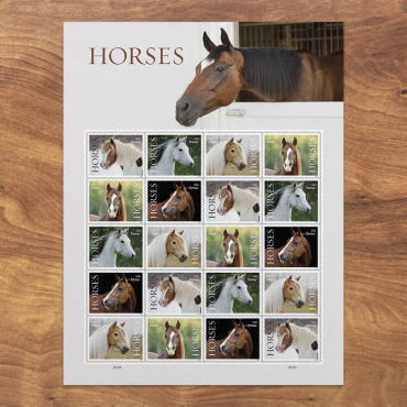 Forever Stamps 2024 Horses-Nature Series, First-Class Postage