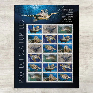 Forever Stamps 2024 Kemp¡¯s Ridley Sea Turtle-Nature Series, First-Class Postage