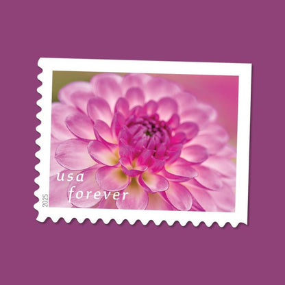 Forever Stamps 2025 Dahlias-Floral Collection, First-Class Postage