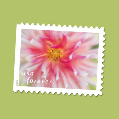 Forever Stamps 2025 Dahlias-Floral Collection, First-Class Postage